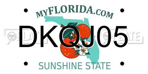 DKQJ05 Florida License Plate