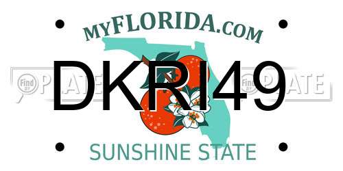 DKRI49 Florida License Plate