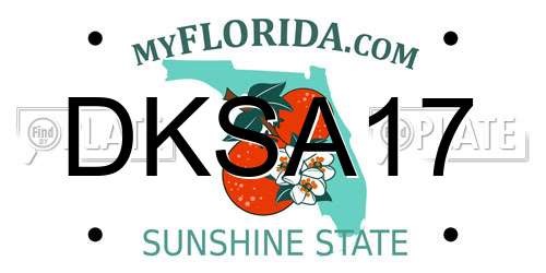 DKSA17 Florida License Plate