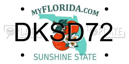 DKSD72 Florida License Plate