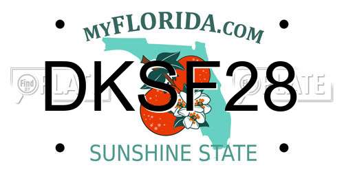DKSF28 Florida License Plate