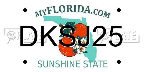 DKSJ25 Florida License Plate