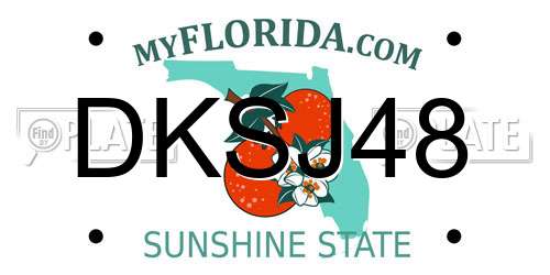 DKSJ48 Florida License Plate