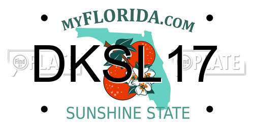 DKSL17 Florida License Plate