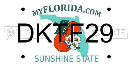 DKTF29 Florida License Plate
