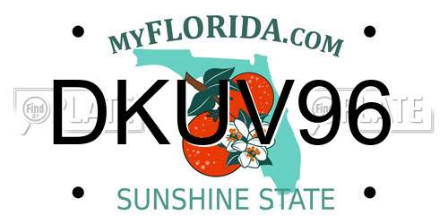 DKUV96 Florida License Plate