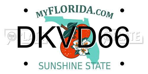 DKVD66 Florida License Plate