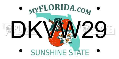 DKVW29 Florida License Plate