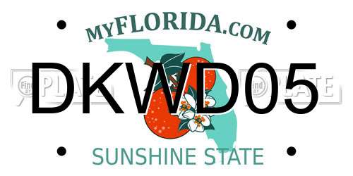 DKWD05 Florida License Plate