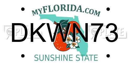 DKWN73 Florida License Plate