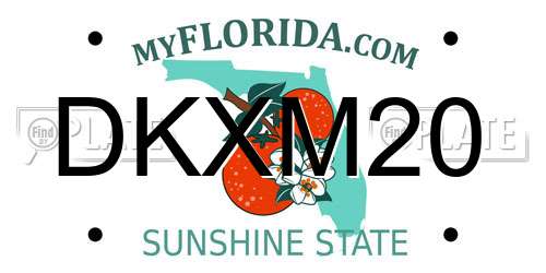 DKXM20 Florida License Plate