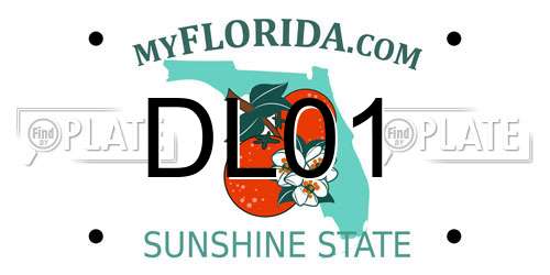 DL01 Florida License Plate