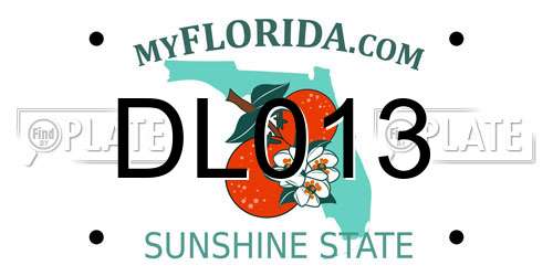 DL013 Florida License Plate