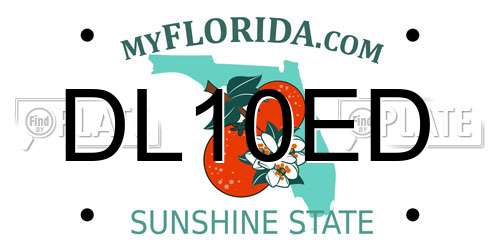 DL10ED Florida License Plate