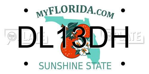 DL13DH Florida License Plate