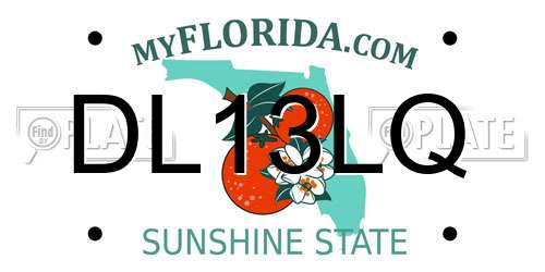 DL13LQ Florida License Plate