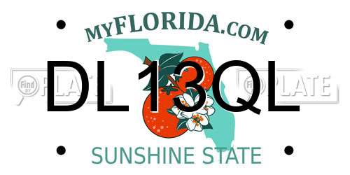 DL13QL Florida License Plate