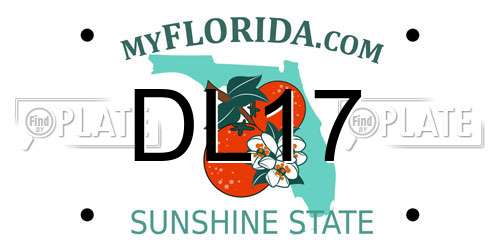 DL17 Florida License Plate