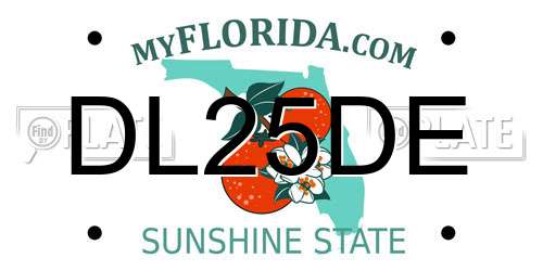 DL25DE Florida License Plate