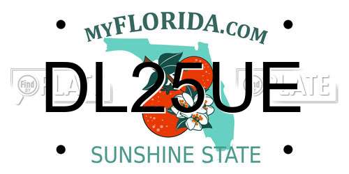 DL25UE Florida License Plate