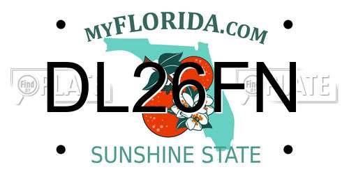 DL26FN Florida License Plate