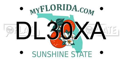 DL30XA Florida License Plate