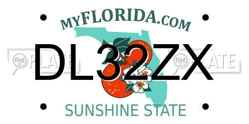 DL32ZX Florida License Plate