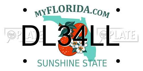 DL34LL Florida License Plate