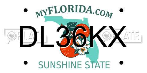 DL36KX Florida License Plate