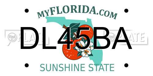DL45BA Florida License Plate