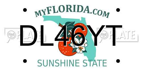 DL46YT Florida License Plate