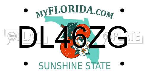 DL46ZG Florida License Plate