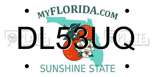 DL53UQ Florida License Plate