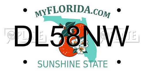 DL58NW Florida License Plate