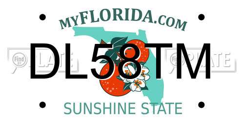 DL58TM Florida License Plate