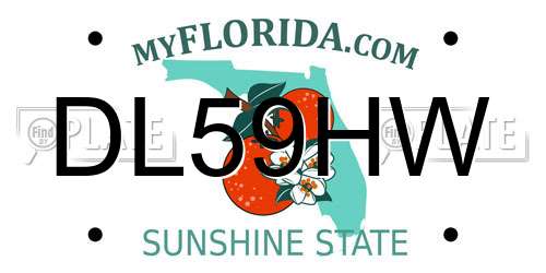 DL59HW Florida License Plate