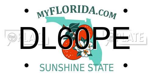 DL60PE Florida License Plate