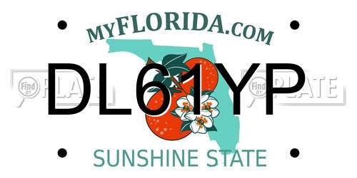 DL61YP Florida License Plate