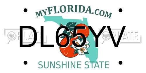 DL65YV Florida License Plate