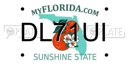 DL71UI Florida License Plate