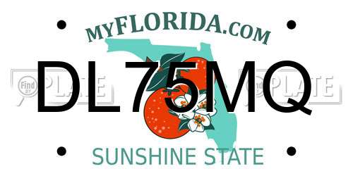 DL75MQ Florida License Plate
