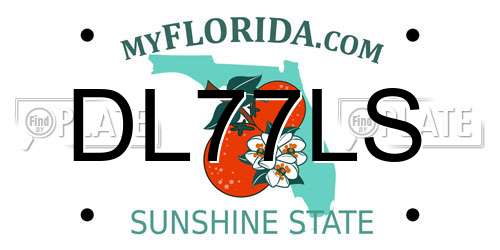 DL77LS Florida License Plate