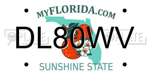 DL80WV Florida License Plate