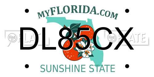 DL85CX Florida License Plate