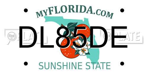 DL85DE Florida License Plate