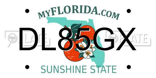 DL85GX Florida License Plate