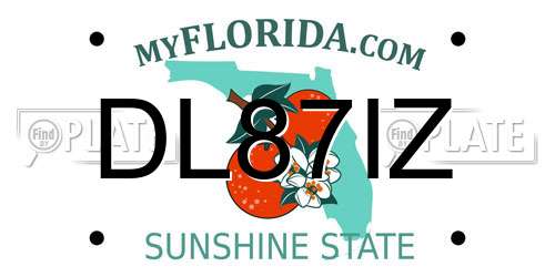 DL87IZ Florida License Plate