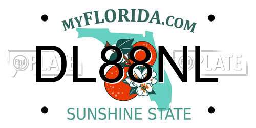 DL88NL Florida License Plate