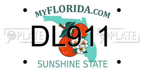 DL911 Florida License Plate