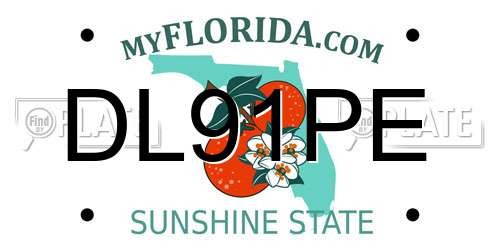 DL91PE Florida License Plate